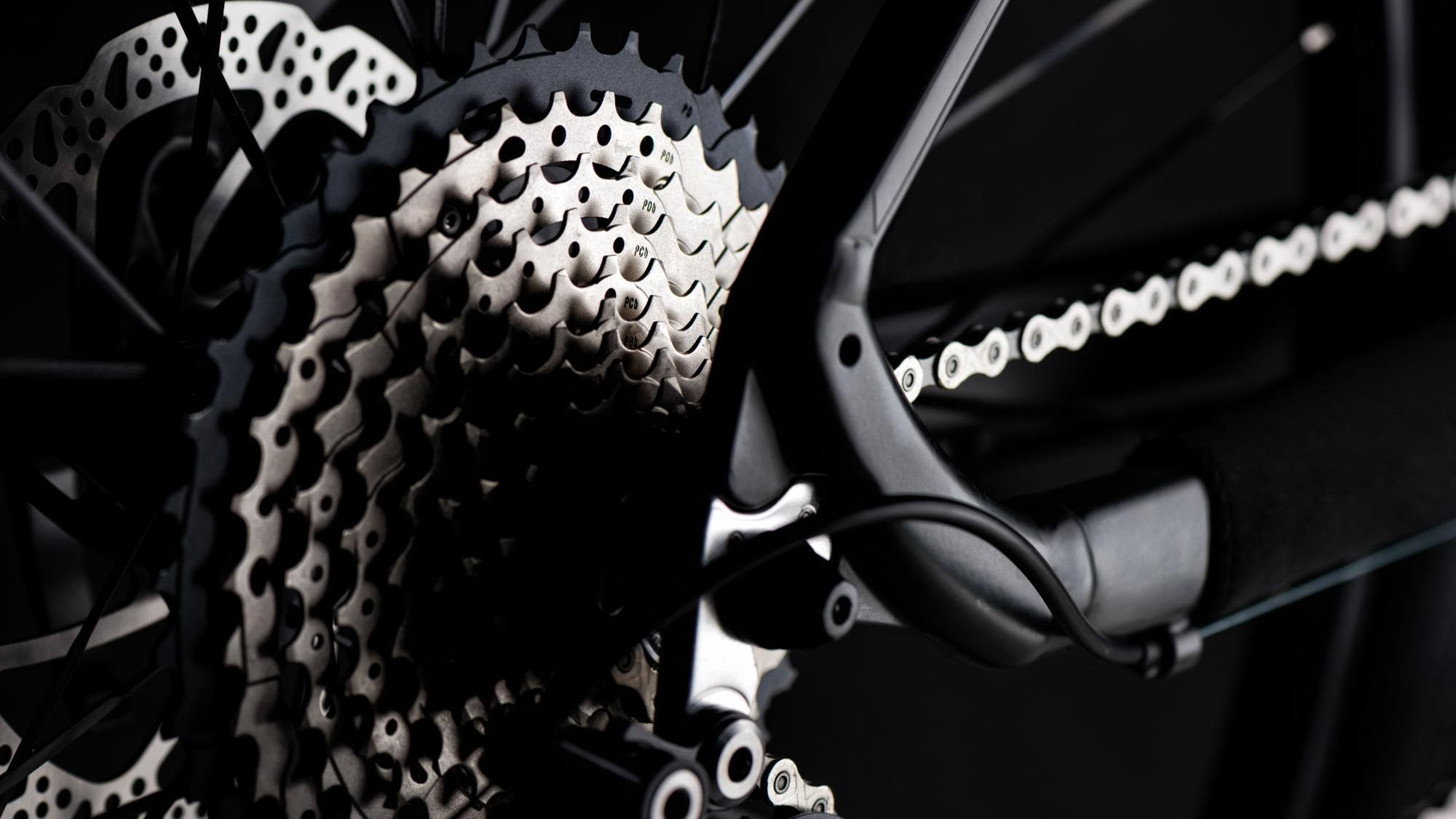 shutterstock_1150966613