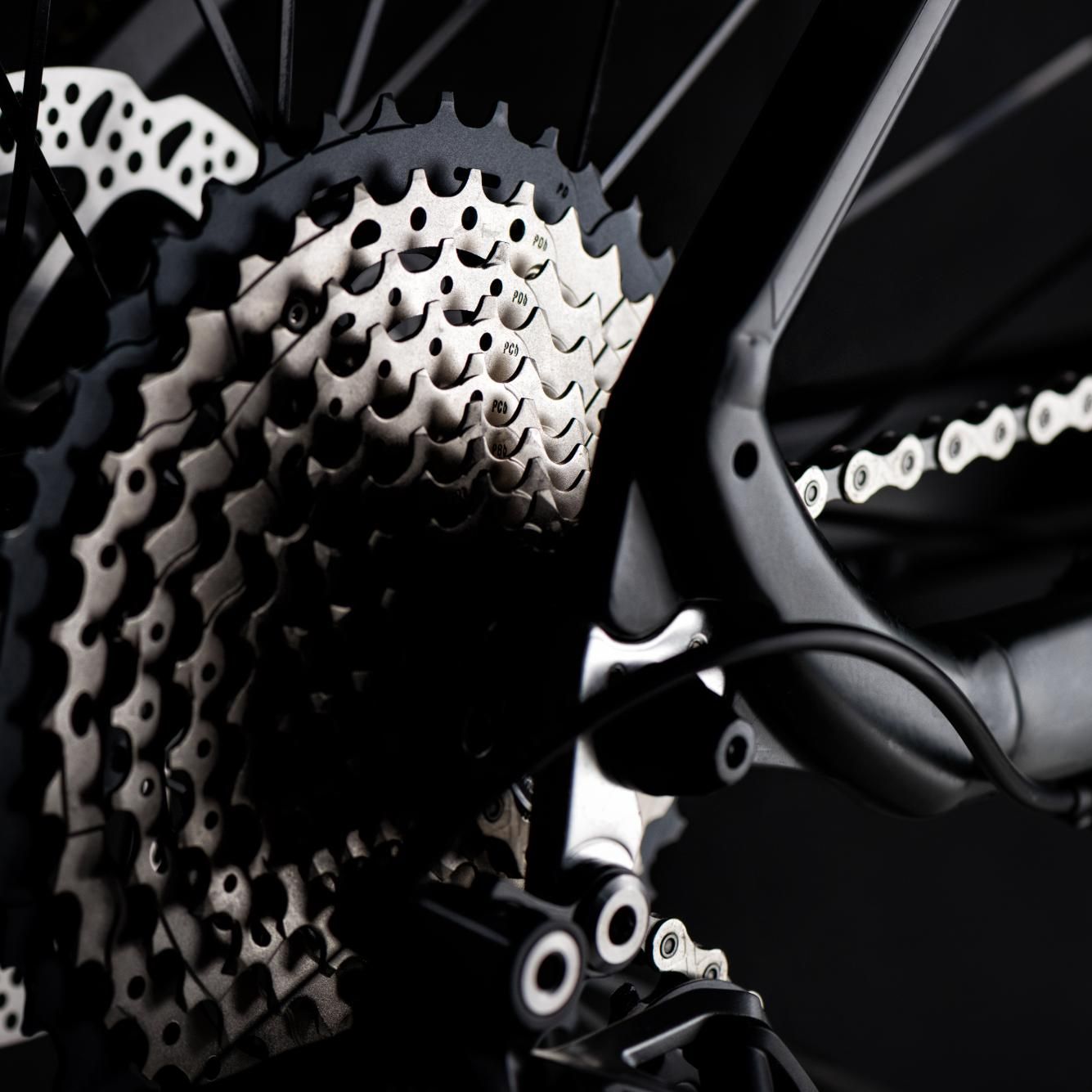 shutterstock_1150966613