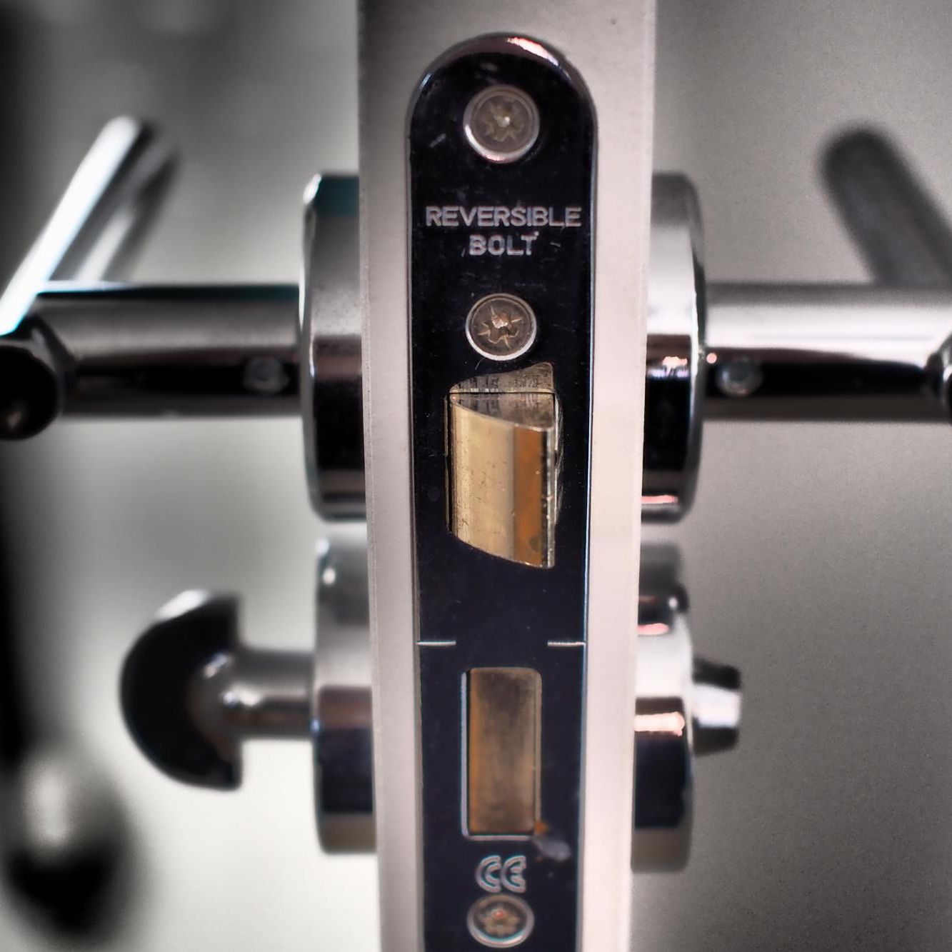 shutterstock_1898617810