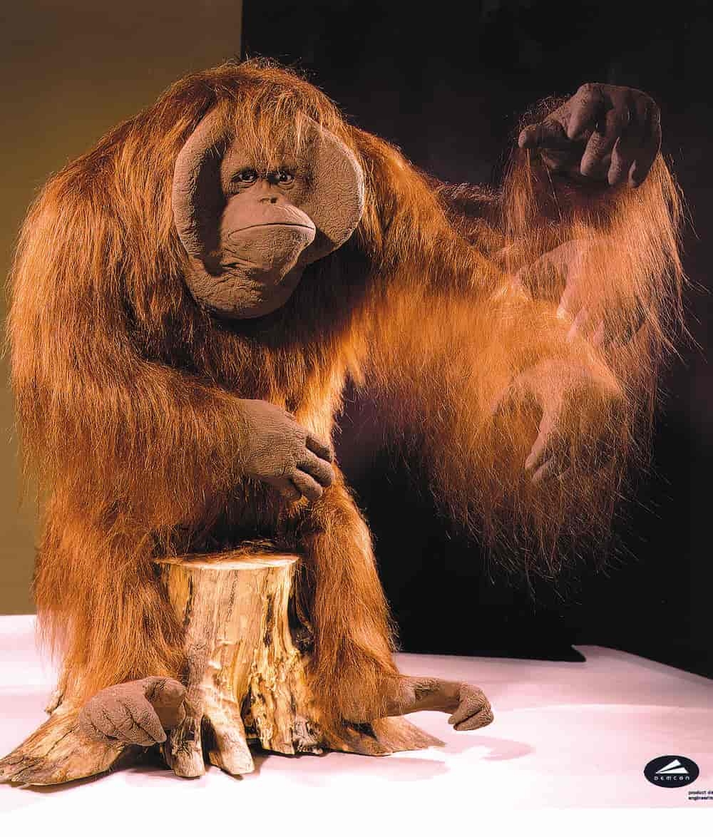 demcon-aap-patient-company